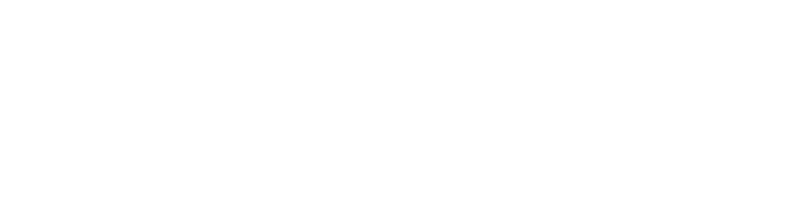 PROPLUS